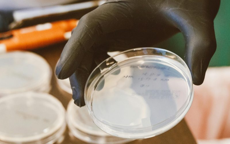 pexels-jess-vide-9259944