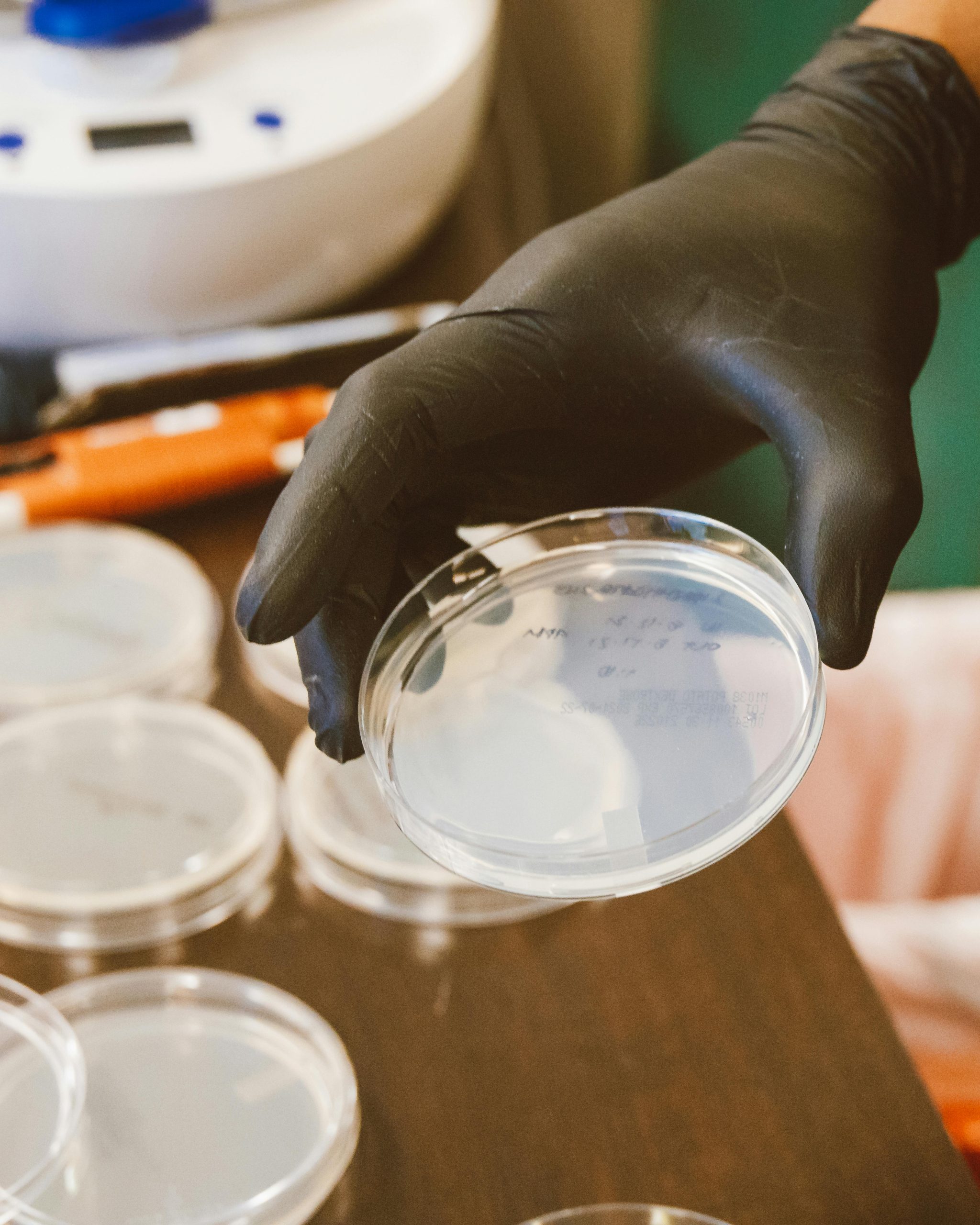 Challenge Testing (Microbial Testing)